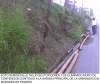 /album/fotogaleria/urb-bosques-de-pinares-1-jpg/